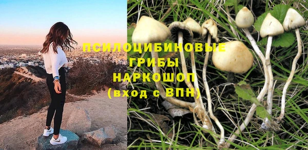 ешки Майский