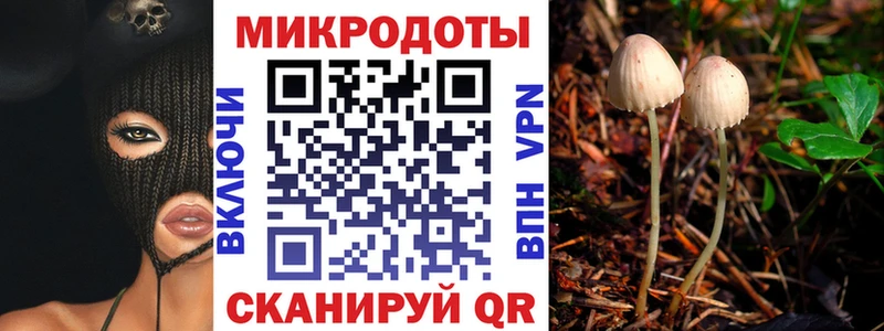 Псилоцибиновые грибы Psilocybine cubensis  Темников 